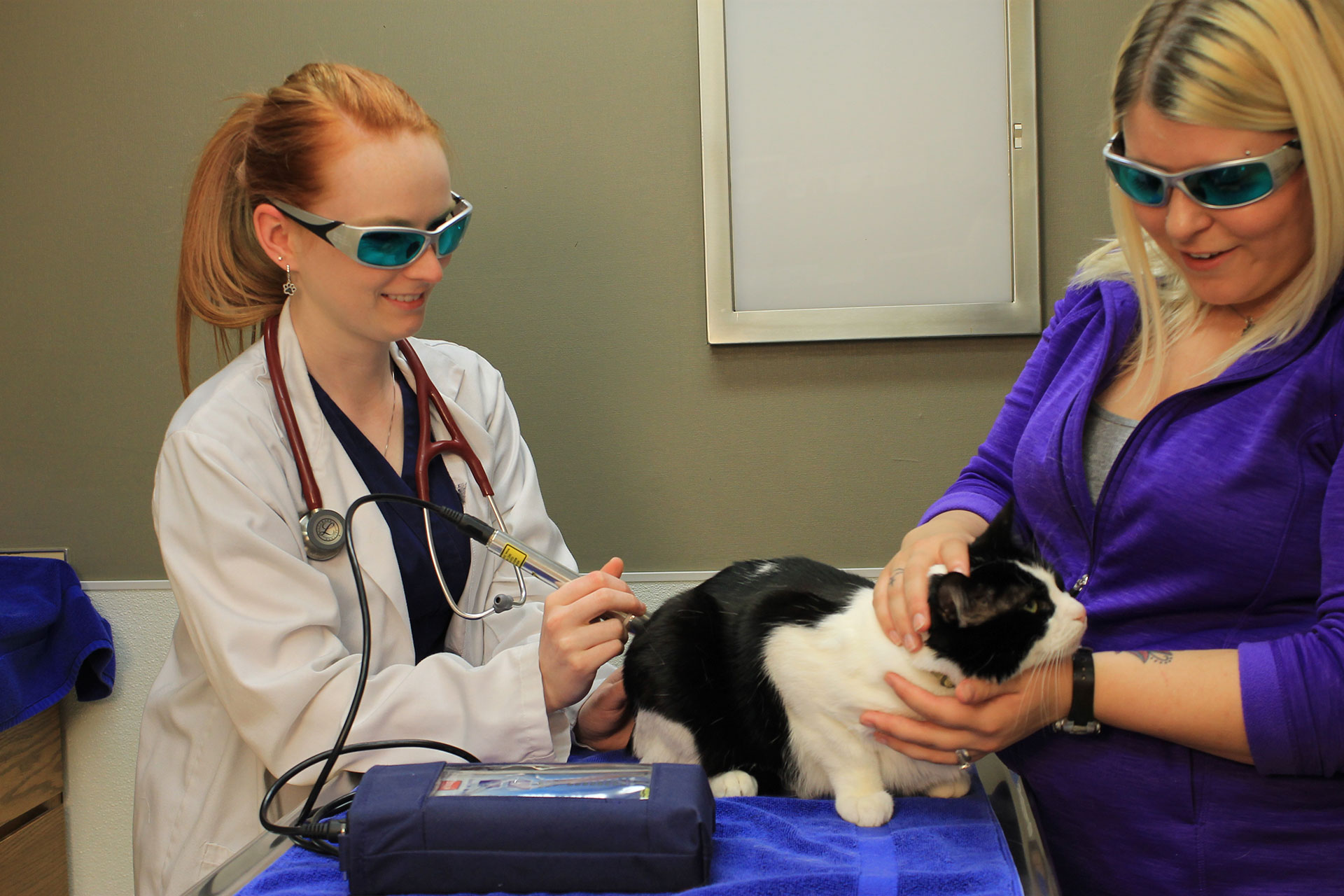 Laser Therapy Pleasant View, TN 